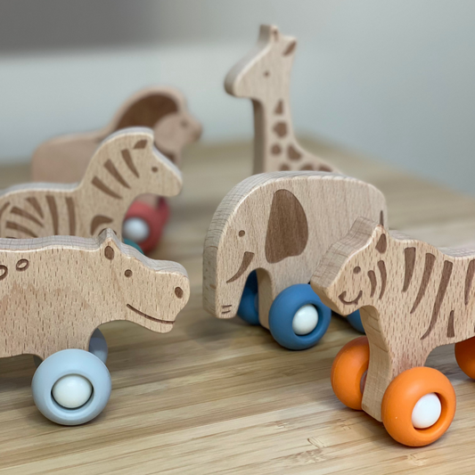 Allen Trading Animal Jungle Car available at Bear & Moo